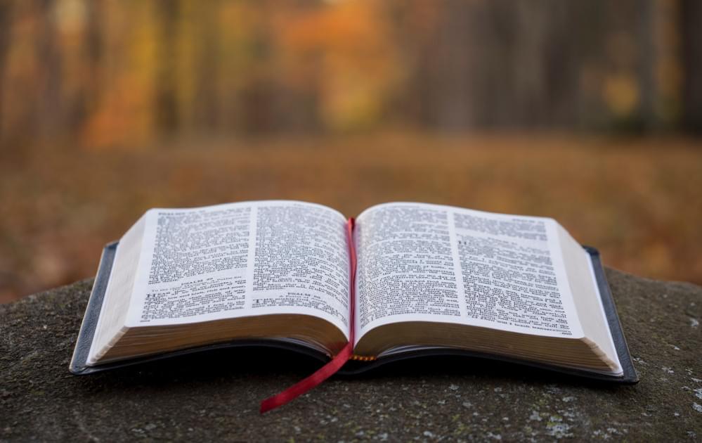 Bible on a rock in the woods